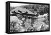 View of Japanese Temple-null-Framed Stretched Canvas