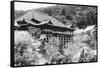 View of Japanese Temple-null-Framed Stretched Canvas