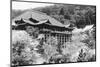 View of Japanese Temple-null-Mounted Premium Photographic Print