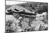 View of Japanese Temple-null-Mounted Photographic Print