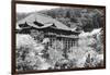 View of Japanese Temple-null-Framed Photographic Print