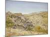 View of Jerusalem, 1854-Thomas Seddon-Mounted Giclee Print
