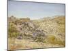 View of Jerusalem, 1854-Thomas Seddon-Mounted Giclee Print