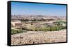 View of Jerusalem and the Dome of the Rock from the Mount of Olives, Jerusalem, Israel, Middle East-Alexandre Rotenberg-Framed Stretched Canvas