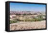 View of Jerusalem and the Dome of the Rock from the Mount of Olives, Jerusalem, Israel, Middle East-Alexandre Rotenberg-Framed Stretched Canvas