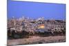 View of Jerusalem from the Mount of Olives, Jerusalem, Israel, Middle East-Neil Farrin-Mounted Photographic Print