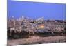 View of Jerusalem from the Mount of Olives, Jerusalem, Israel, Middle East-Neil Farrin-Mounted Photographic Print