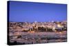 View of Jerusalem from the Mount of Olives, Jerusalem, Israel, Middle East-Neil Farrin-Stretched Canvas