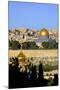 View of Jerusalem from the Mount of Olives, Jerusalem, Israel, Middle East-Neil Farrin-Mounted Photographic Print