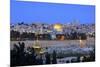 View of Jerusalem from the Mount of Olives, Jerusalem, Israel, Middle East-Neil Farrin-Mounted Photographic Print