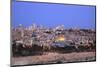 View of Jerusalem from the Mount of Olives, Jerusalem, Israel, Middle East-Neil Farrin-Mounted Photographic Print