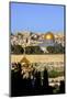 View of Jerusalem from the Mount of Olives, Jerusalem, Israel, Middle East-Neil Farrin-Mounted Photographic Print