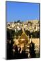 View of Jerusalem from the Mount of Olives, Jerusalem, Israel, Middle East-Neil Farrin-Mounted Photographic Print