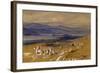 View of Joannina, Greece, 1856/1862-Edward Lear-Framed Giclee Print