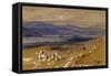 View of Joannina, Greece, 1856/1862-Edward Lear-Framed Stretched Canvas