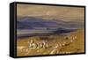 View of Joannina, Greece, 1856/1862-Edward Lear-Framed Stretched Canvas