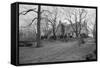 View of Kennedy Weekend House-null-Framed Stretched Canvas