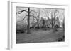 View of Kennedy Weekend House-null-Framed Photographic Print