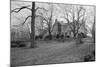 View of Kennedy Weekend House-null-Mounted Photographic Print