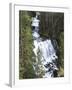 View of Kepler Cascades on Firehole River, Wyoming, USA-Scott T. Smith-Framed Premium Photographic Print