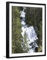 View of Kepler Cascades on Firehole River, Wyoming, USA-Scott T. Smith-Framed Premium Photographic Print