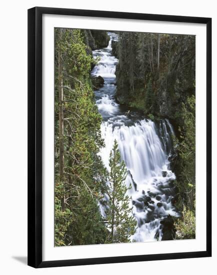 View of Kepler Cascades on Firehole River, Wyoming, USA-Scott T. Smith-Framed Premium Photographic Print
