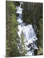 View of Kepler Cascades on Firehole River, Wyoming, USA-Scott T. Smith-Mounted Premium Photographic Print