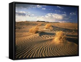 View of Killpecker Sand Dunes at Sunset, Wyoming, USA-Scott T. Smith-Framed Stretched Canvas