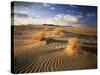 View of Killpecker Sand Dunes at Sunset, Wyoming, USA-Scott T. Smith-Stretched Canvas