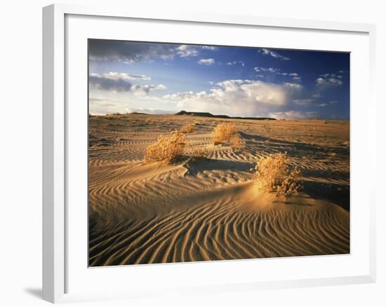 View of Killpecker Sand Dunes at Sunset, Wyoming, USA-Scott T. Smith-Framed Photographic Print