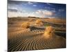 View of Killpecker Sand Dunes at Sunset, Wyoming, USA-Scott T. Smith-Mounted Photographic Print