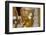 View of Kinnara Figure, Wat Phra Kaeo, Bangkok, Thailand-Dallas and John Heaton-Framed Photographic Print