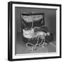 View of Kitten in Jewel Box-Philip Gendreau-Framed Photographic Print