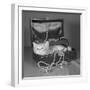 View of Kitten in Jewel Box-Philip Gendreau-Framed Photographic Print