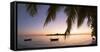 View of Kuramathi Island at sunset, Rasdhoo Island, Northern Ari Atoll, Maldives-Ian Trower-Framed Stretched Canvas