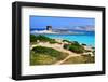 View of La Pelosa Beach, Stintino, Sardinia, Italy-sfocato-Framed Photographic Print