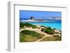 View of La Pelosa Beach, Stintino, Sardinia, Italy-sfocato-Framed Photographic Print