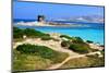 View of La Pelosa Beach, Stintino, Sardinia, Italy-sfocato-Mounted Photographic Print