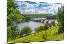 View of Ladybower Reservoir and Baslow Edge in the distance, Peak District, Derbyshire, England-Frank Fell-Mounted Photographic Print