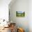 View of Ladybower Reservoir and Baslow Edge in the distance, Peak District, Derbyshire, England-Frank Fell-Photographic Print displayed on a wall