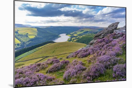 View of Ladybower Reservoir and flowering purple heather on Derwent Edge-Frank Fell-Mounted Photographic Print