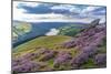 View of Ladybower Reservoir and flowering purple heather on Derwent Edge-Frank Fell-Mounted Photographic Print