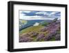 View of Ladybower Reservoir and flowering purple heather on Derwent Edge-Frank Fell-Framed Photographic Print