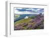 View of Ladybower Reservoir and flowering purple heather on Derwent Edge-Frank Fell-Framed Photographic Print