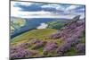 View of Ladybower Reservoir and flowering purple heather on Derwent Edge-Frank Fell-Mounted Photographic Print