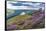 View of Ladybower Reservoir and flowering purple heather on Derwent Edge-Frank Fell-Framed Stretched Canvas