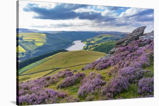 View of Ladybower Reservoir and flowering purple heather on Derwent Edge-Frank Fell-Stretched Canvas
