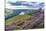 View of Ladybower Reservoir and flowering purple heather on Derwent Edge-Frank Fell-Stretched Canvas