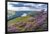 View of Ladybower Reservoir and flowering purple heather on Derwent Edge-Frank Fell-Framed Photographic Print