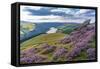 View of Ladybower Reservoir and flowering purple heather on Derwent Edge-Frank Fell-Framed Stretched Canvas